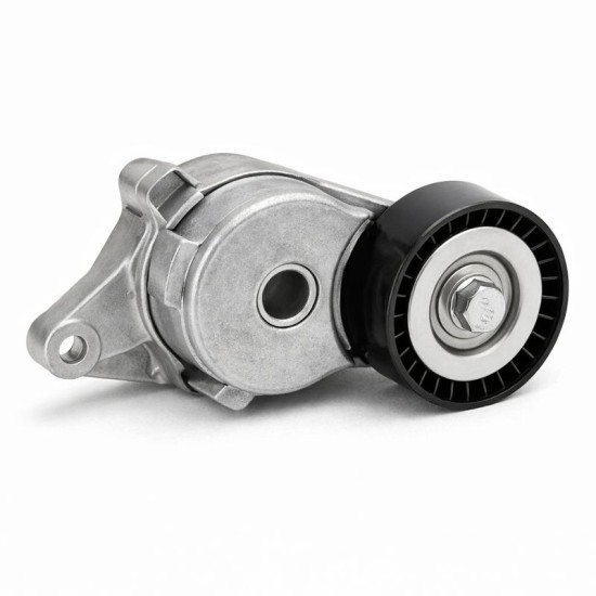 بكرة سير رافور2006-2011 أصلي وكالة